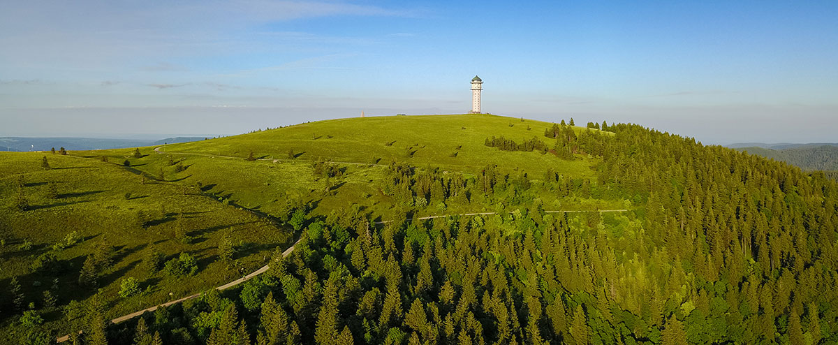 feldberg